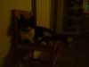 DSC00309.JPG