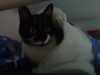 DSC00336.JPG