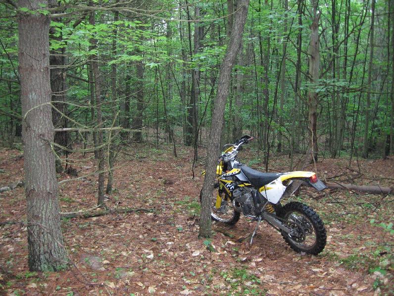 200EC_Onthetrail.JPG
