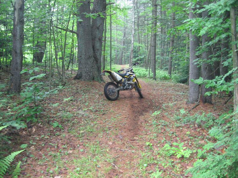 snowmobiletrail.JPG