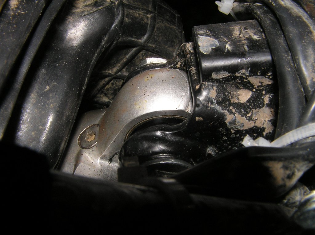 P5180003_1024x766.jpg